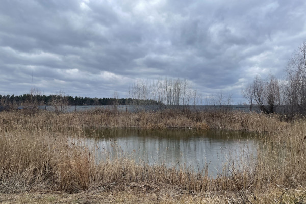 Продаж виробничого комплексу 4340 м2 з ділянкою 6,3 га, Київська область, Баришівка